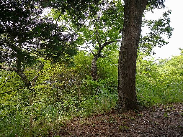 日田市民なら一度は登りたい山 五条殿(ごじゅうどん) (9)