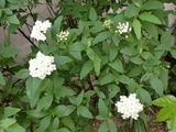 eba5667e.jpg