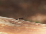 R5052023