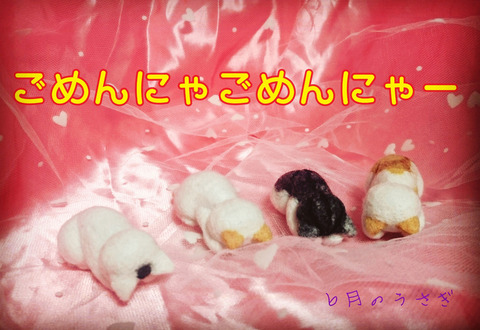 ごめんにゃごめんにゃ