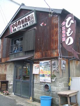 �е��建ŹƬ