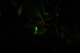 ޱޝŽÌŽß22