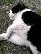 050402_1306~0001.jpg