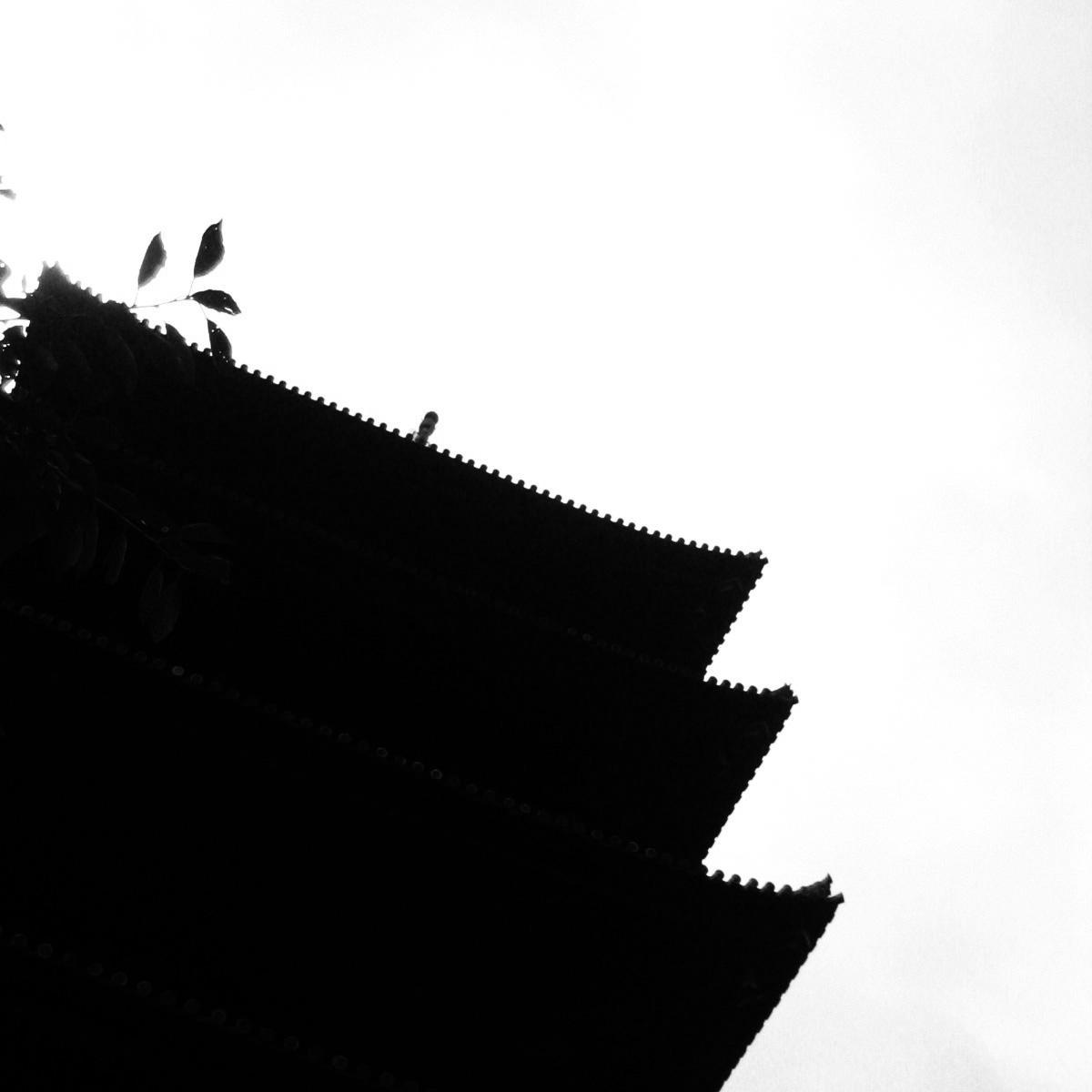 東寺
