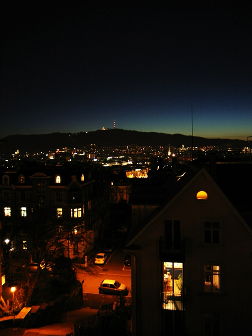 チューリッヒの夜景