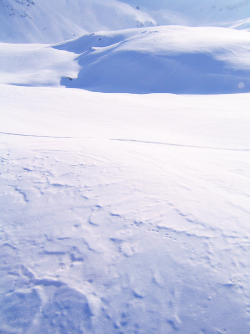 Ski to Arosa2