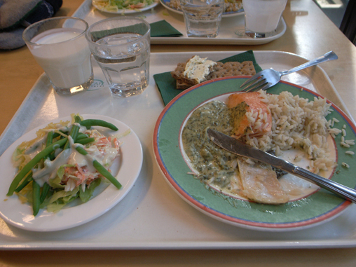 Finland2ex_004