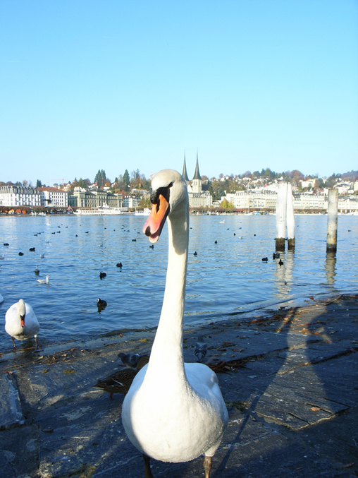 Luzern_009