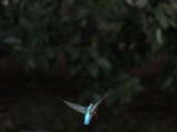 PB225292_filtered