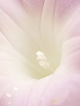 P7060743