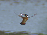 P5180385_filtered