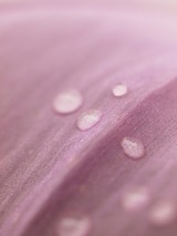 P7060739
