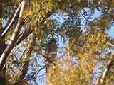 PB225346_filtered