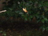 PB225291_filtered