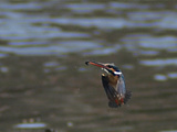 P5180400_filtered