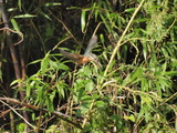 PA184988_filtered-1