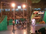 FMX_1