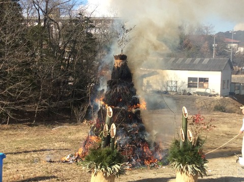 01eafd5d5619139c713feb6ac92bd3d7d025274b37