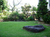 naradaikanyama_1