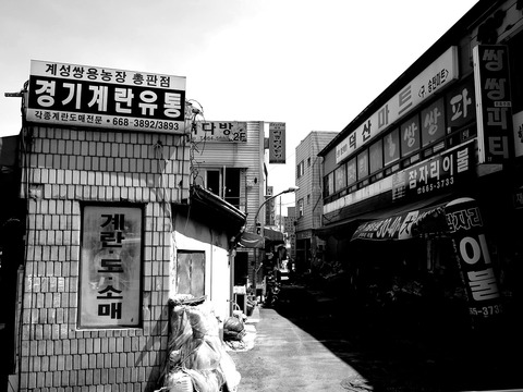 鷄聲雙龍農場總販賣店