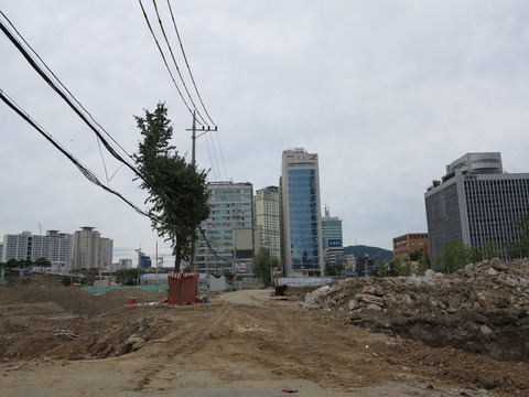 因果の土地