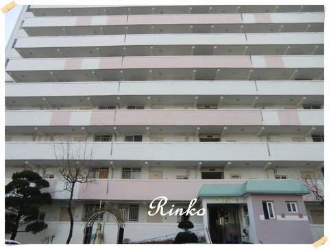 CIMG9249
