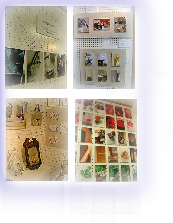 展示会2