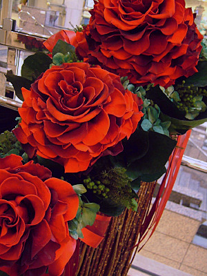 FB薔薇