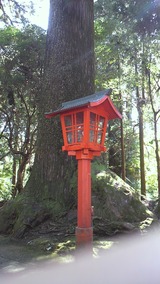 P1000931