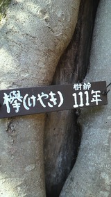 P1000927