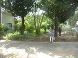 P1050465