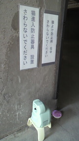 P1001343