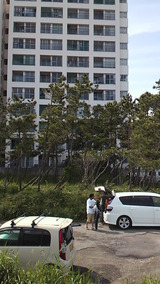 P1001370