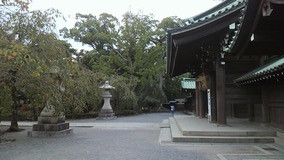 P1000907