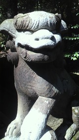 P1000937