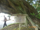P1050457