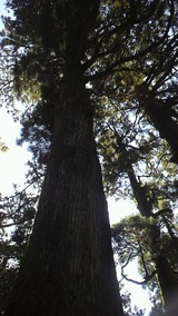 P1000936
