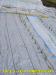 201305132