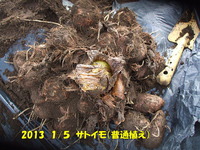 201301055