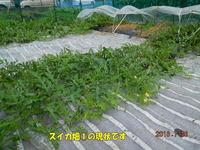 201607162