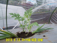 201305131