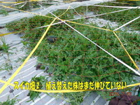 201607171