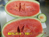 201607292