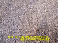 201310073