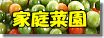 blogbana1