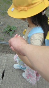 NEC_0834