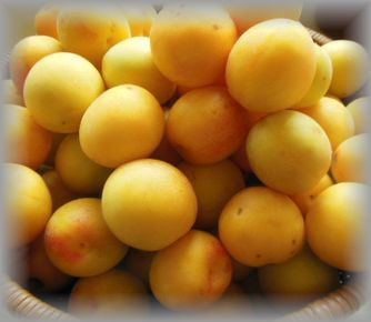 ume2