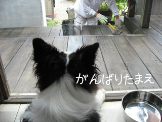 BlogPaint