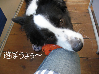 BlogPaint