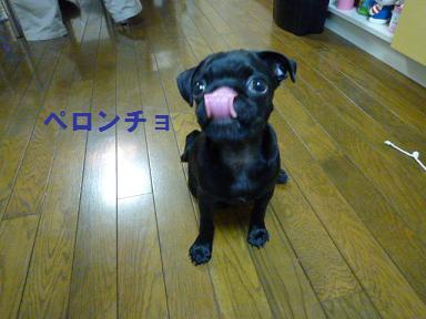 b30e43d6.jpg